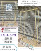 TSR-579 金色掛衣架 衣櫃 睡房掛衣架 衣架