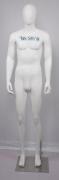 TSM-9 男裝模特兒 高191cm          ┋出售┋租賃┋